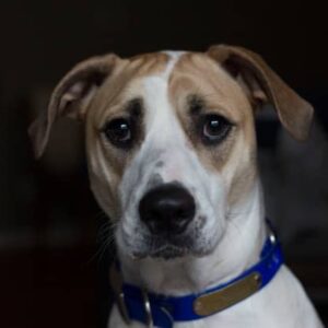 jarrod-reed-bCqxxcF_wgY-unsplash