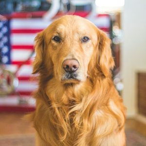 caleb-fisher-pgUbpDLJh3E-unsplash (1)